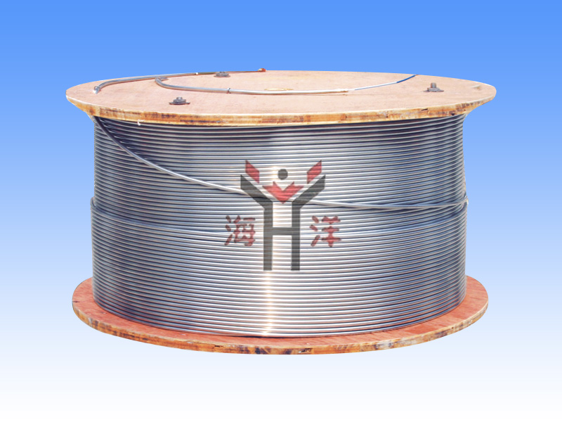 Stainless steel test cable